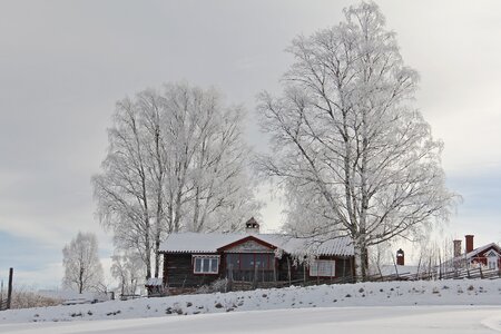 Winter cold beautiful photo