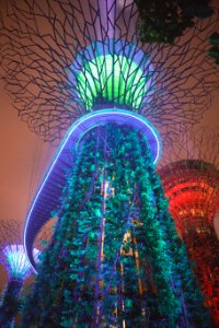 Marina bay, City, Future