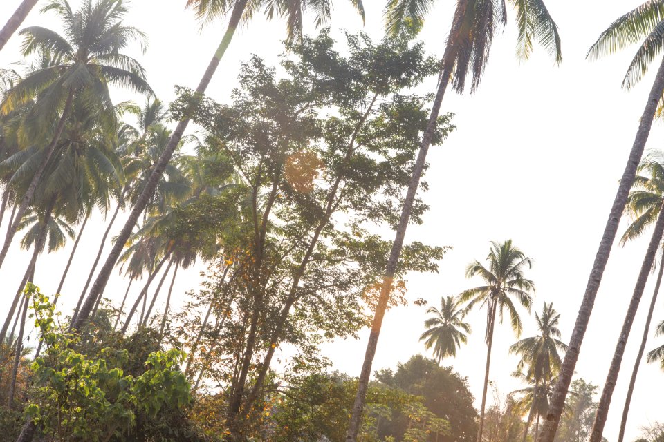Village, Hill, Asia