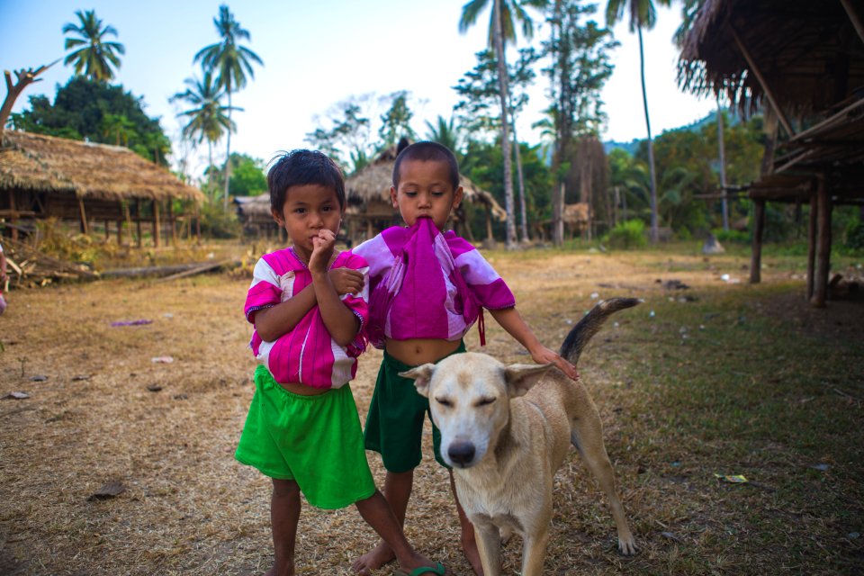 Dog, Tambon mae la, Kayin state