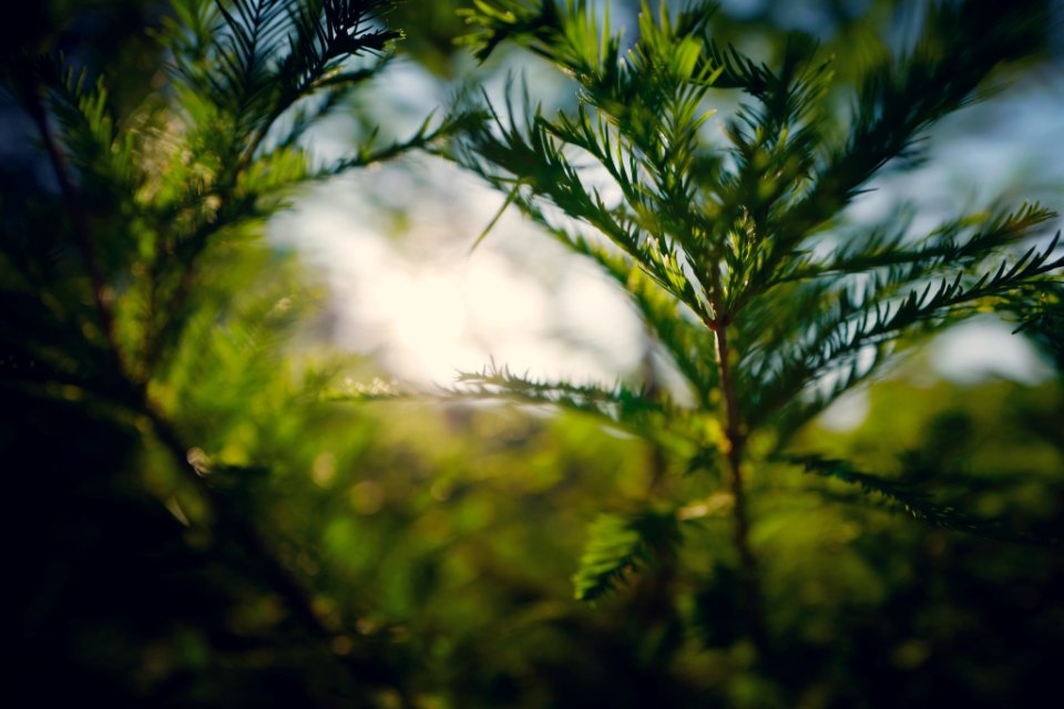 John r bonner nature park, Largo, United states
