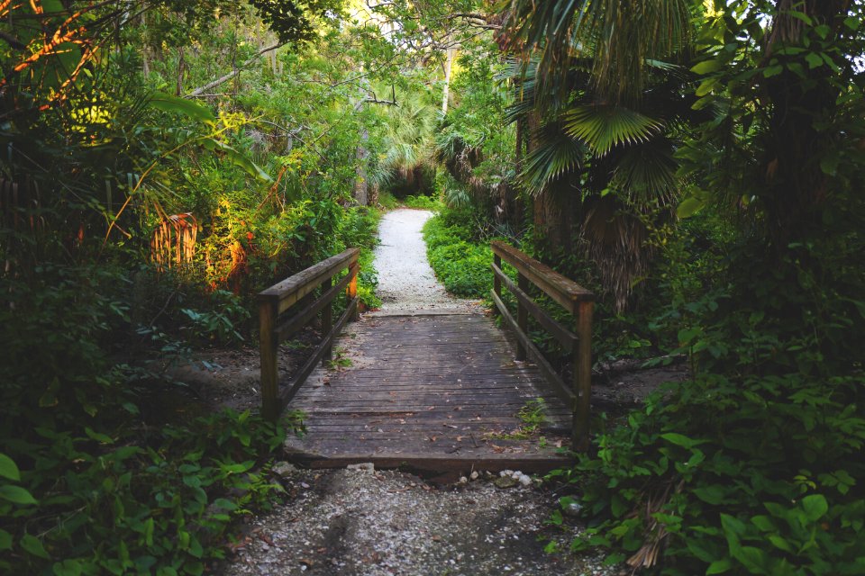 Road, Nature, John r bonner nature park