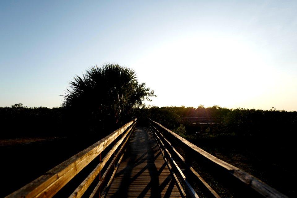 John r bonner nature park, Largo, United states