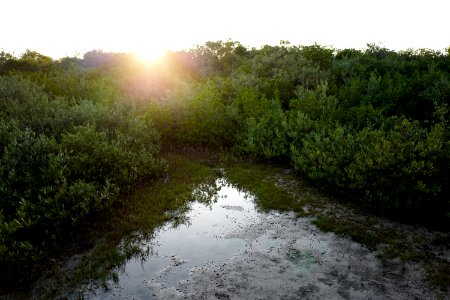 John r bonner nature park, Largo, United states
