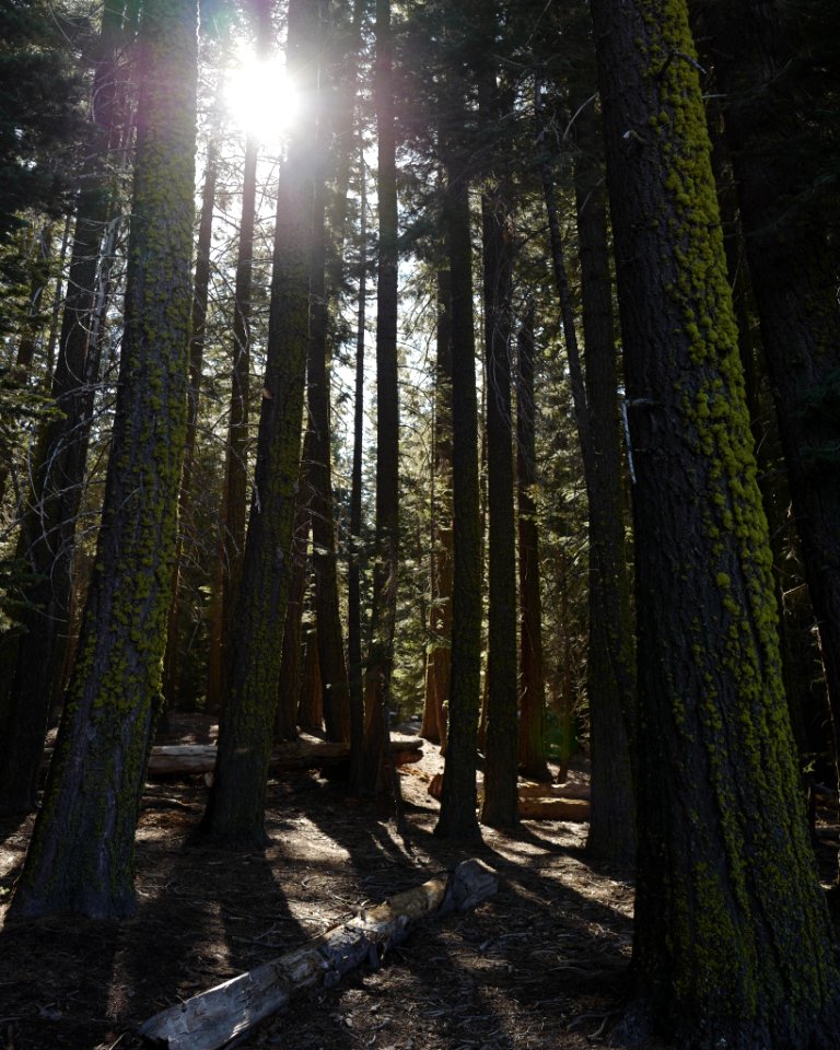 Lassen volcanic national park, United states, Lassen