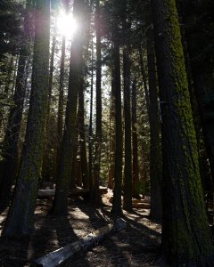 Lassen volcanic national park, United states, Lassen photo