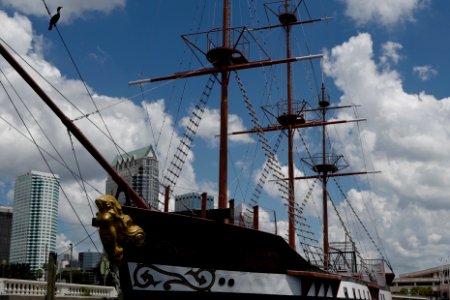 Tampa, United states, Pirate photo