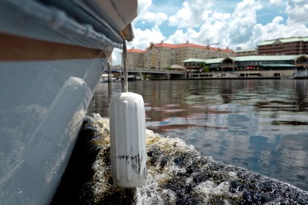 Hillsborough river, United states, Boat
