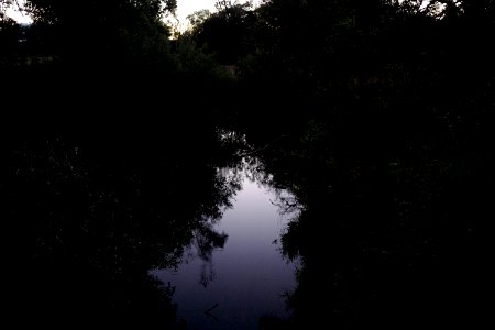 Turtle bay exploration park, Redding, United states photo