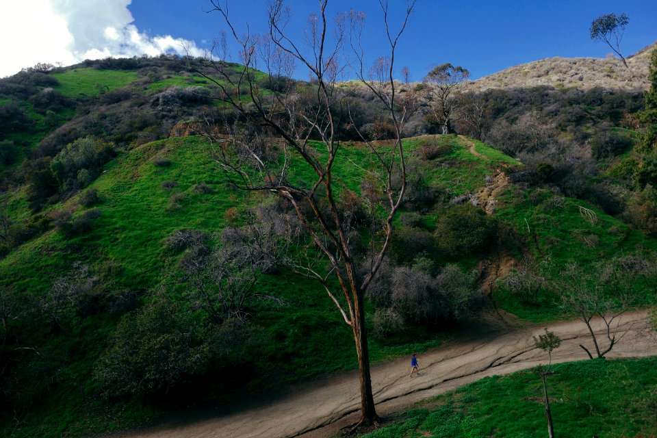 Runyon canyon park, Los angeles, United states