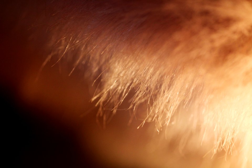 Brown, Texture, Concept