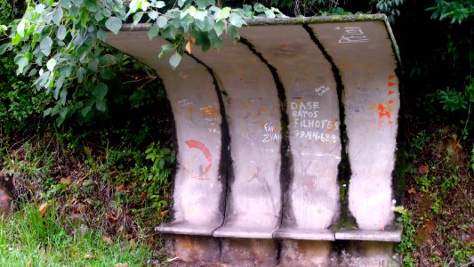 Detail, Forest