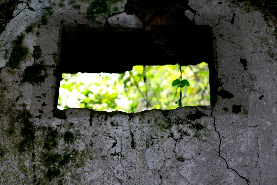 Concept, Detail