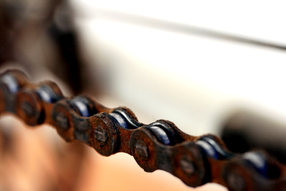 Beauty, Bike, Detail