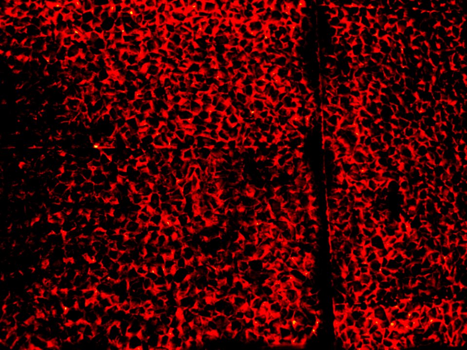 Burn, Floor, Texture