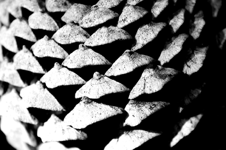Concept, China, Detail