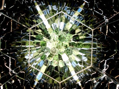Mirror, Detail, Nature