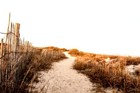 withered grass lined dirt road at daytime