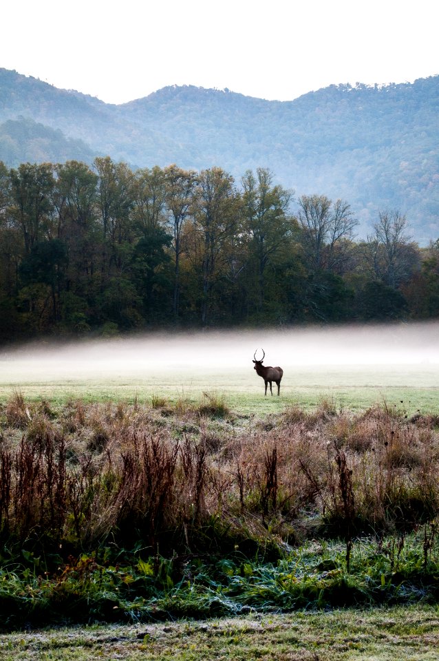 Cherokee, United states, Fog