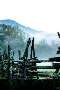 grey wooden fence overlooking the trees