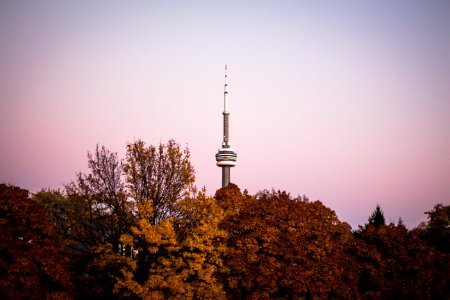 Canada, Trinity bellwoods park, Toronto photo
