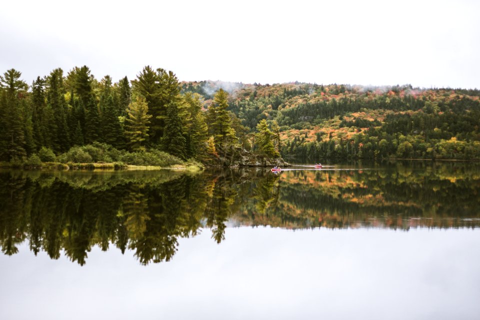 lake in forest under white sky nature photography