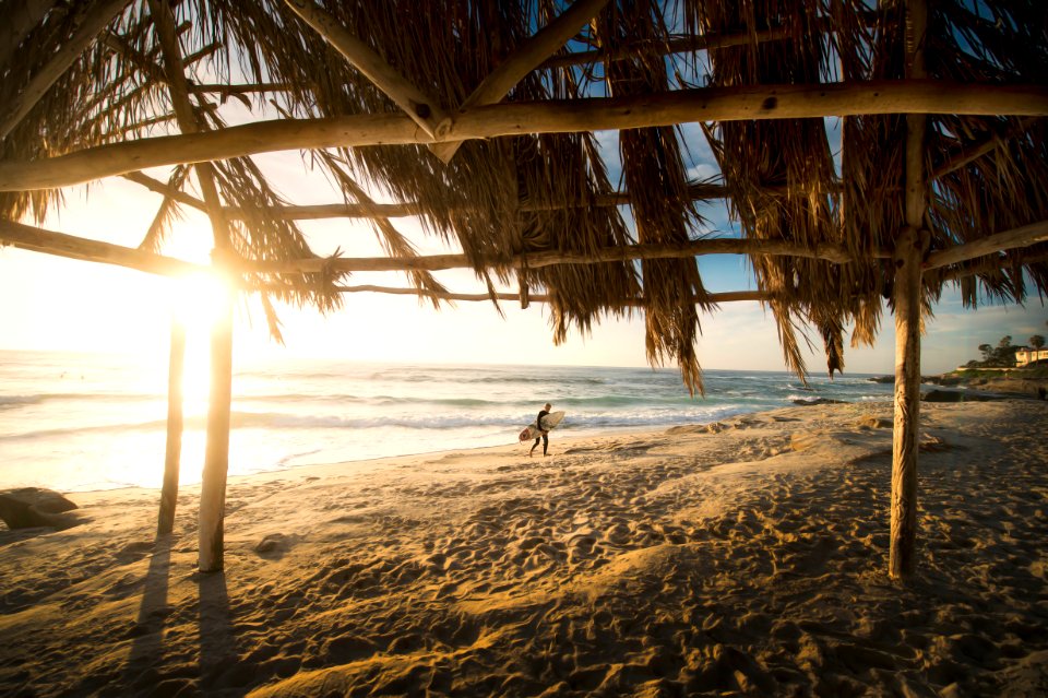 person walking on beach during daytime