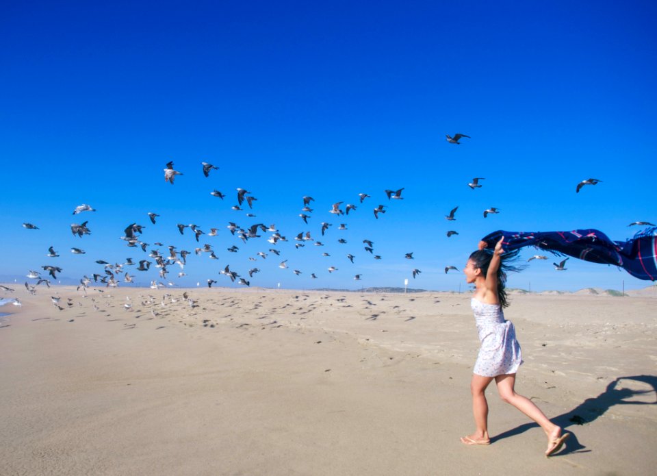 Guadalupe, United states, Birds