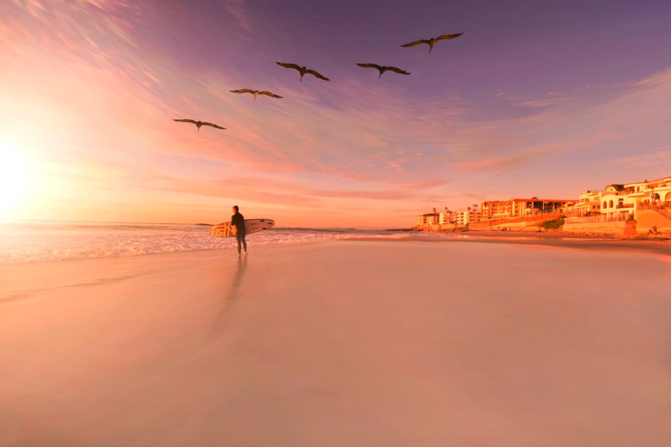 person standing in seashore with birds flying in sky