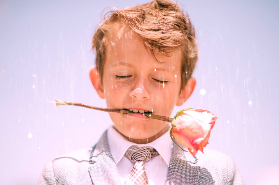 boy biting stem of pink rose