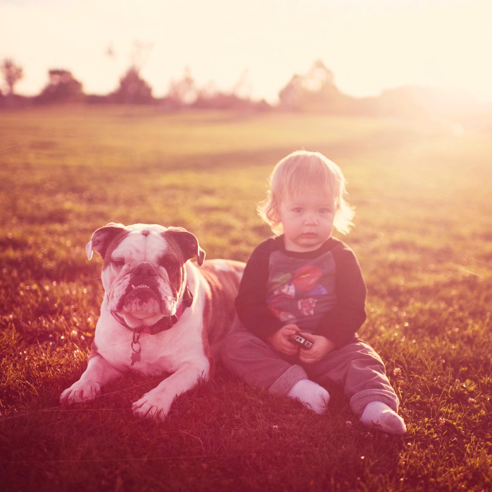 San diego, United states, Dog