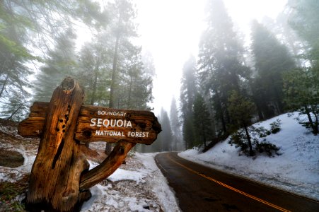 Sequoia national park, United states, National photo
