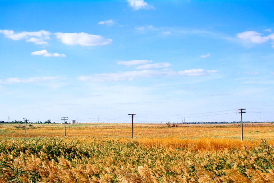 grass field under blue sky