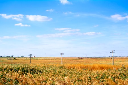 grass field under blue sky