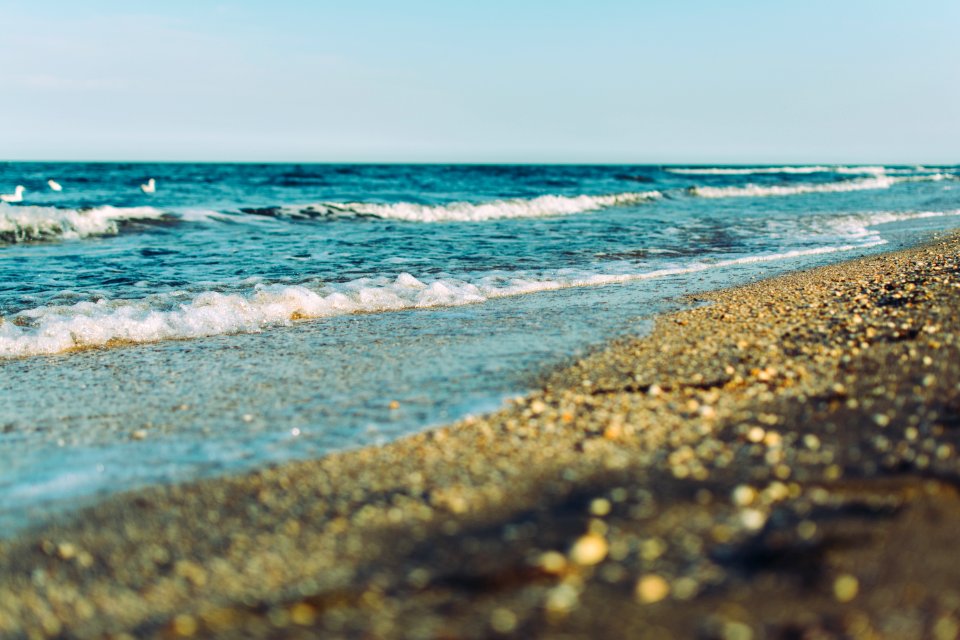 selective focus photography of seashore