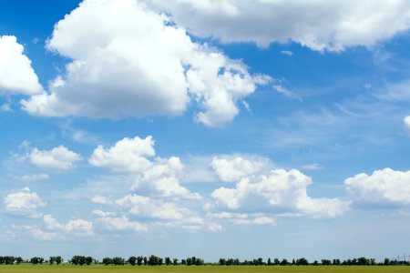 grass field at daytime