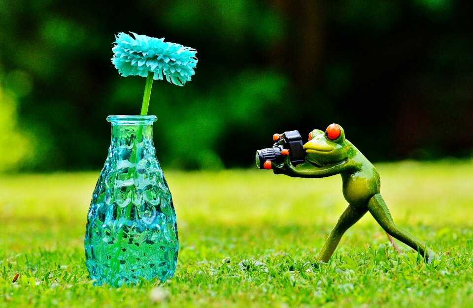 Photographer photograph funny