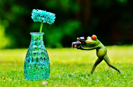 Photographer photograph funny
