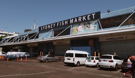 Sydney, Australia, Sydney fish market photo