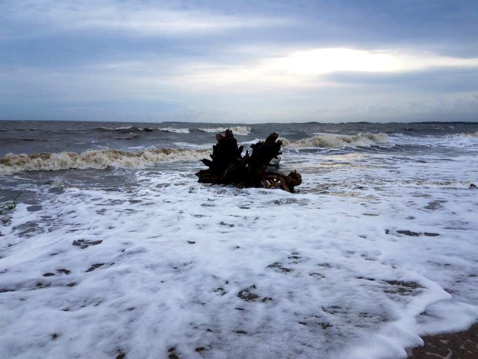Edisto isl, United states