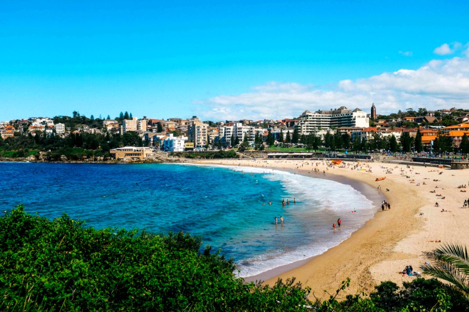 people on beach during daytime