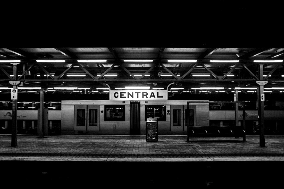 architectural photography of Central station