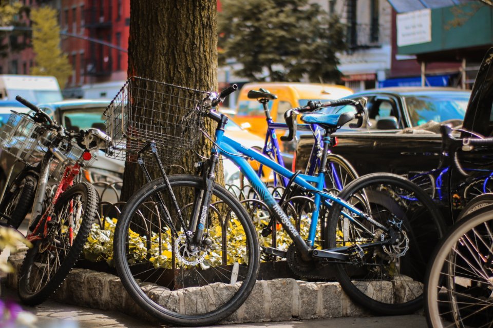 blue bike leaning on tre