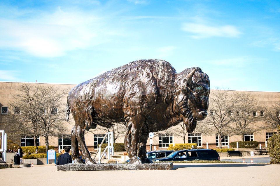 Buffalo, United states