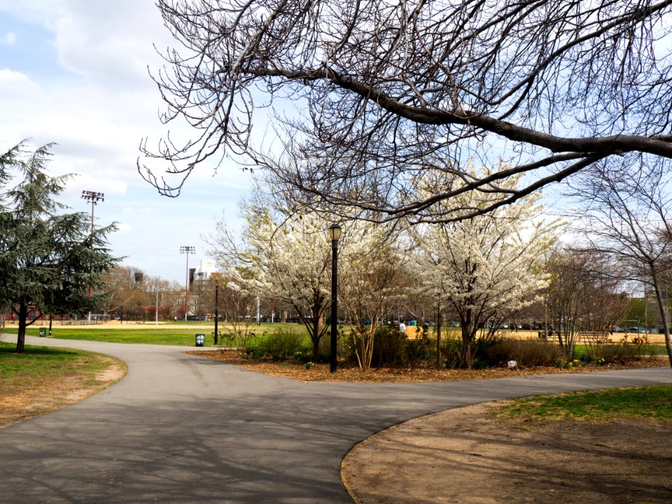 Brooklyn, Mccarren park, United states