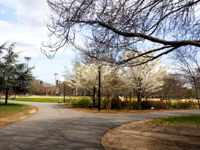 Brooklyn, Mccarren park, United states