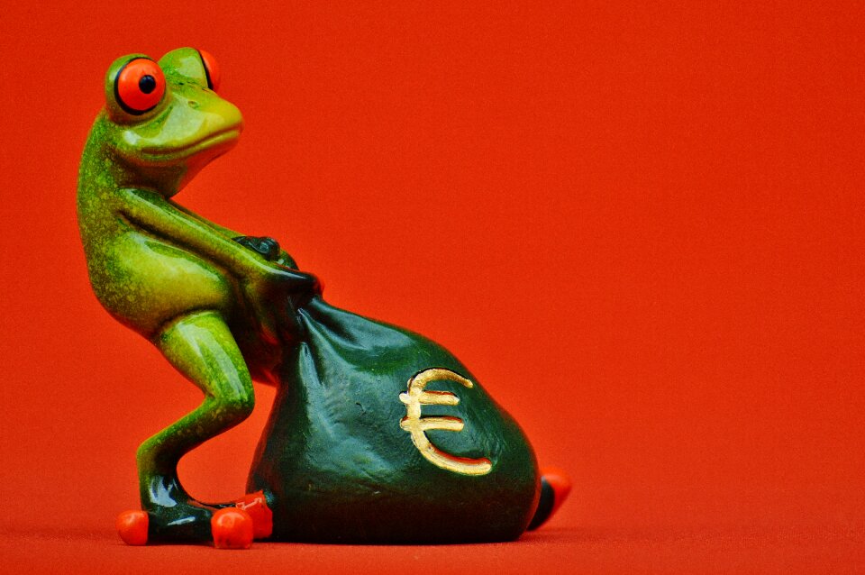 Bag money bag funny