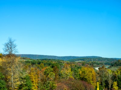 Blue sky, Leaves, Mountains