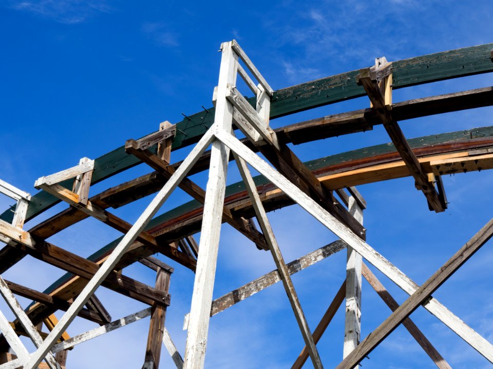 Wood, Amusement park, Rollercoaster
