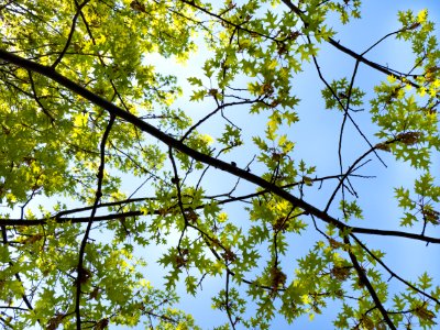 Mccarren park, United states, Sky photo